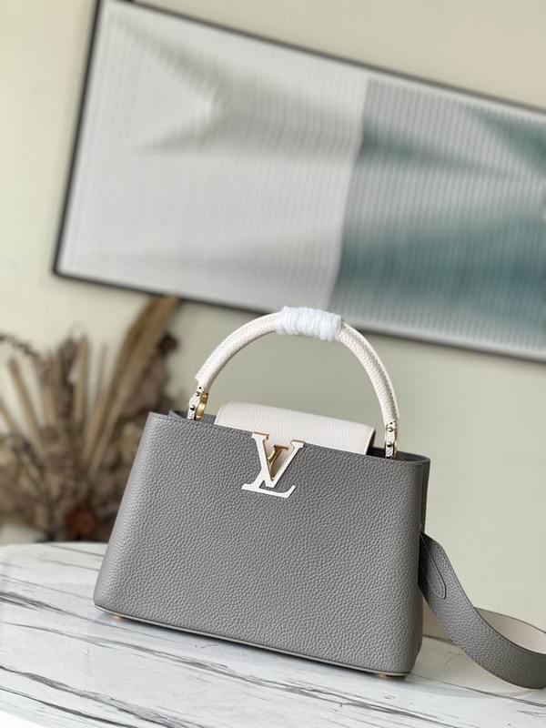 LV Handbags 251